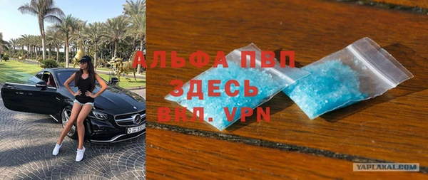 стаф Белокуриха
