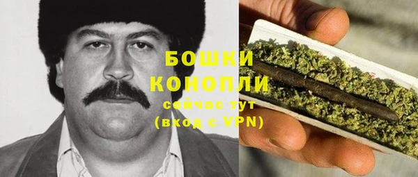 стаф Белокуриха